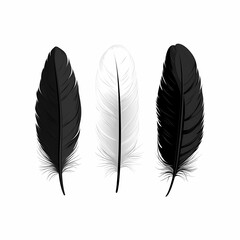 Elegant Black and White Feather Illustration - Minimalist Vector Art for Wall Decor and Design