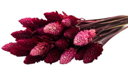 Decorative Burgundy Amaranth Flowers Bouquet, Cut Out Transparent