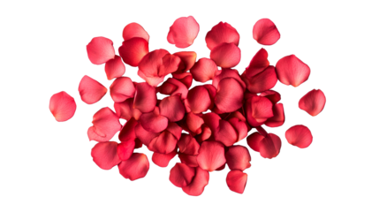 Romantic Red Rose Petals Isolated On Black, cut out transparent