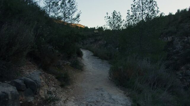 Light illuminates a rocky path winding through a valley bordered by trees and bushes, as the sky transitions from daylight to twilight hues
