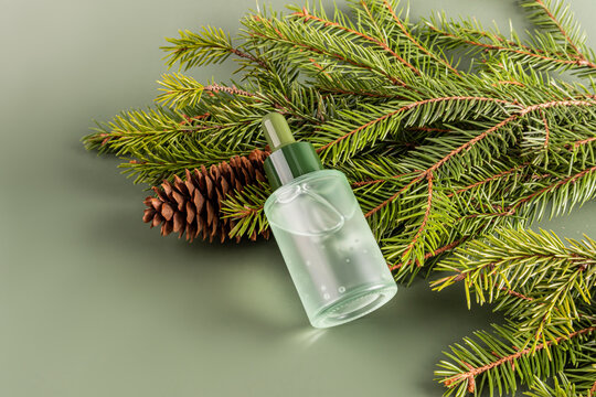 Essential oil with coniferous branches and pine cone