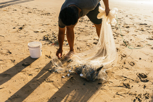 Fisherman collecting catch in net on sandy beach