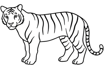 coloring  Tiger outline vector illustration and ready for print.