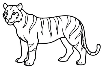 coloring  Tiger outline vector illustration and ready for print.
