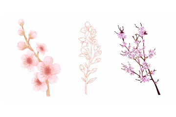 Naklejka premium cherry blossom branch