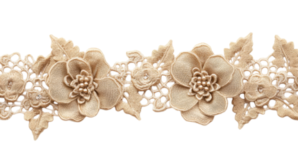 Floral lace ornament with pearl details, decorative border, cutout transparent
