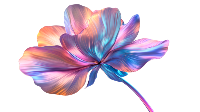 Abstract flower with smooth color gradients, artistic presentation, cut out transparent
