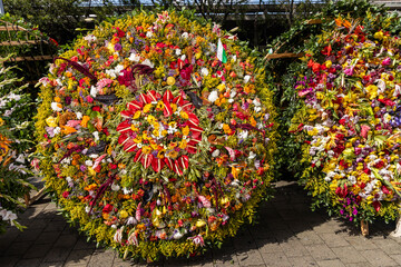Medellin is celebrating, the flower fair returns with the silleteros parade