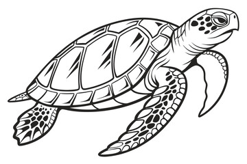 Fototapeta premium coloring pages for kids for brain development. Turtle outline vector illustration and ready for print. 