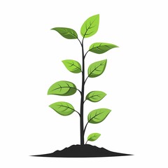 Organic Plant Growth: Green Sprout Showcasing Nature's Resilience and Sustainability