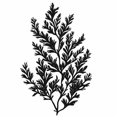 Elegant Black and White Botanical Leaf Silhouette: Natural Decorative Design for Wall Art