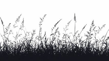 Serene Silhouette of Grass: Minimalist Black and White Nature Art Featuring Herbaceous Flora in a Tranquil Rural Landscape