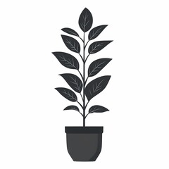 Enhance Your Living Space with Eco-Friendly Houseplant: Vibrant Greenery and Minimalist Design