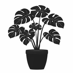 Stylish Monstera Plant Illustration: Black and White Foliage for Modern Interior Decor and Botanical Art