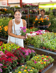 Happy young girl buyer holding garden-pot with pentas in large flower market