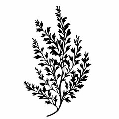 Ethereal Black and White Botanical Illustration: Lush Nature-Inspired Leaf Silhouettes in Monochrome Vector Design