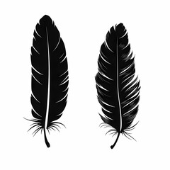 Elegant Black Feather Illustration: Nature-Inspired Vector Art with Ornamental Details and Bohemian Style
