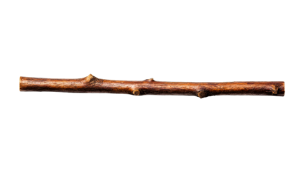 Single brown twig, detailed texture, natural branch, design element, cut out transparent