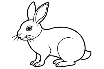  coloring  Rabbit outline vector illustration and ready for print. white  background.