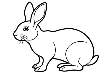  coloring  Rabbit outline vector illustration and ready for print. white  background.