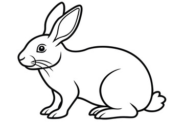  coloring  Rabbit outline vector illustration and ready for print. white  background.