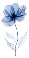 Single Indigo Tulip with Delicate Details Isolated on White Background A Botanical Illustration with Soft Petals and Detailed Stem and Leaves