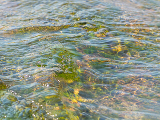 春の川　水の流れアップ150