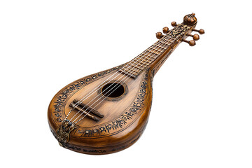 Dilruba isolated on transparent background
