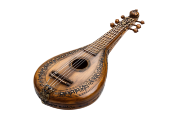 Dilruba isolated on transparent background
