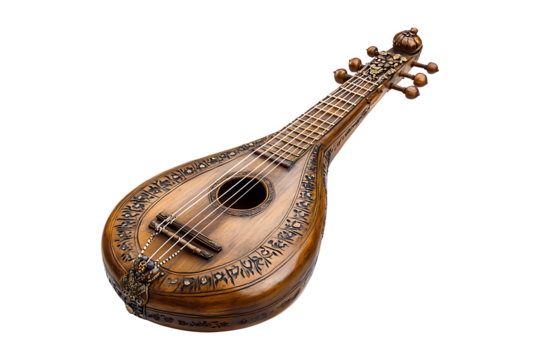 Dilruba isolated on transparent background
