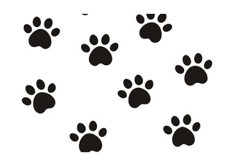Fototapeta premium vector animal step print pattern