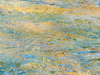 春の川　水の流れアップ170