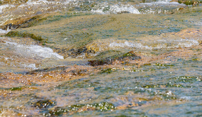 春の川　水の流れアップ189