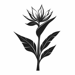 Elegant Black and White Floral Illustration: Botanical Art for Modern Home Decor