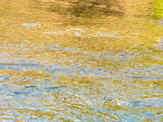 春の川　水の流れアップ194