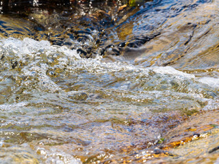 春の川　水の流れアップ198