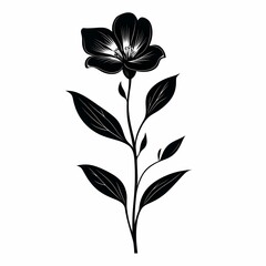 Elegant Black Floral Silhouette: Minimalist Botanical Design with Monochrome Lily Outlines