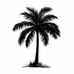 Tropical Paradise Palm Tree Silhouette: Black and White Nature Illustration for Summer Decor