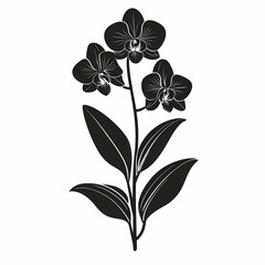Elegant Orchid Illustration: Exotic Floral Beauty and Springtime Blossoms in Botanical Art