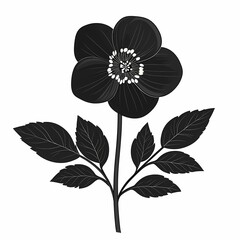 Elegant Black Flower Illustration: Vintage Botanical Art with a Minimalist Design
