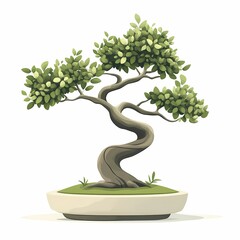 Tranquil Indoor Bonsai Tree: Unique Ornamental Plant for Zen-Inspired Home Decor