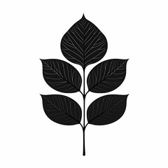 Obraz premium Botanical Leaf Silhouette: Eco-Friendly Nature Illustration for Minimalist Design & Home Décor