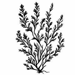 Naklejka premium Elegant Black Silhouette Seaweed Illustration: Decorative Marine Life and Botanical Art for Coastal Decor