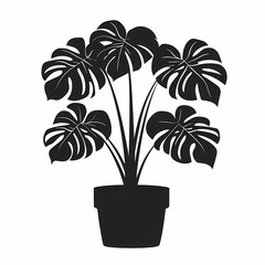 Modern Art Monstera: Stylish Tropical Plant for Elegant Indoor Gardening & Contemporary Home Decor