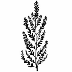 Nature's Botanical Symphony: Black-and-White Leaf Illustration Featuring Lush Ferns and Organic Greenery for Eco-Friendly Design Inspiration