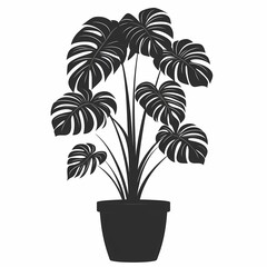 Tropical Monstera Foliage: Enhance Your Eco-Friendly Home Decor with Stylish Indoor Plants and Lush Greenery
