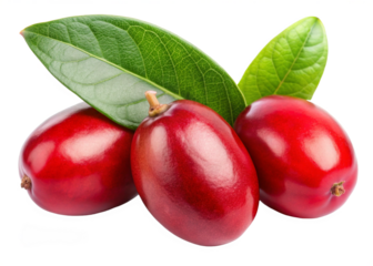 Miracle Fruit  isolated on white background