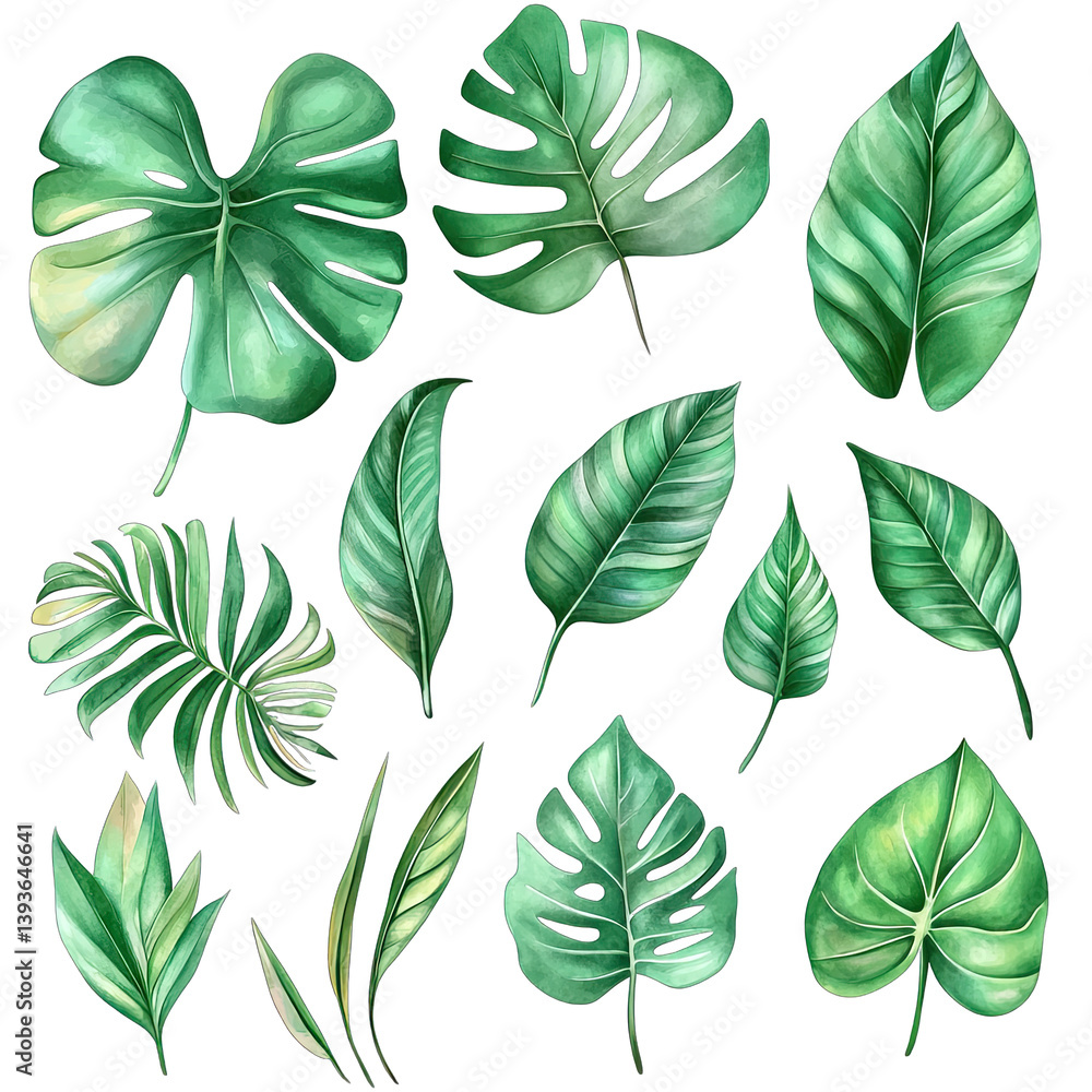 Poster collection of various green leaves illustrated in a watercolor style showcasing their unique shapes 
