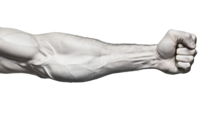 Png of Male arm showing muscles and clenched fist, symbolizing strength and determination against a plain background.