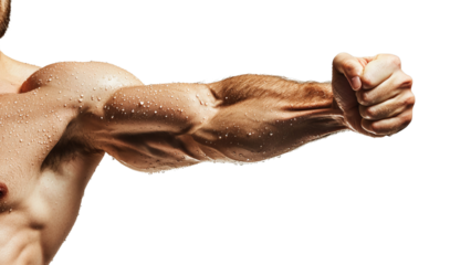 Png of A close-up of a muscular male arm, showcasing defined biceps and wet skin glistening with droplets, highlighting strength and fitness.